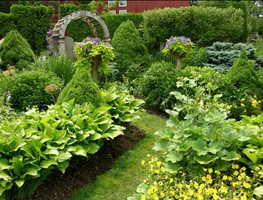 Sun Garden
"Dream Team's" Portland Garden
Garden Design
Calimesa, CA