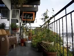 Urban Gardening
"Dream Team's" Portland Garden
Garden Design
Calimesa, CA