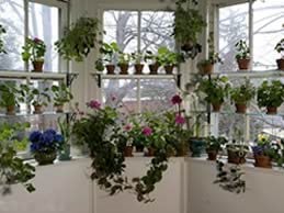 Window Garden
"Dream Team's" Portland Garden
Garden Design
Calimesa, CA