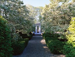 Crabapple Trees Blooming
Duck Hill: Page Dickey's Garden in Upstate New York
Duck Hill
North Salem, NY