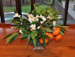 Holiday Centerpieces: Bay Leaves, Persimmons, and Camellias
Garden Design
Calimesa, CA
