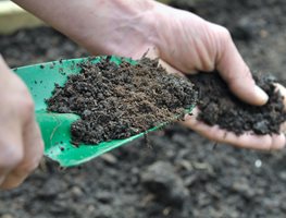Add Compost And Fertilize Your Garden
Garden Design
Calimesa, CA