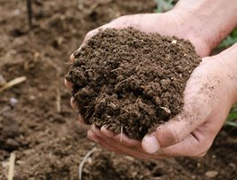 Add Compost Or Amendment To Soil
Garden Design
Calimesa, CA