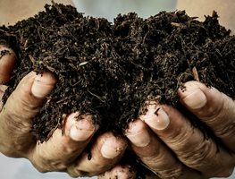 Add Compost To Garden Beds
Garden Design
Calimesa, CA