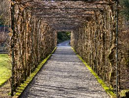 Add Garden Structure
Garden Design
Calimesa, CA