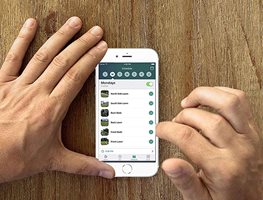 Adjust Watering Schedules
Garden Design
Calimesa, CA