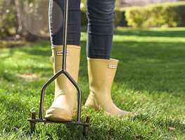 Aerate & Fertilize Lawns
Garden Design
Calimesa, CA