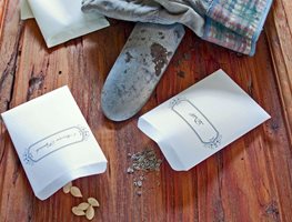 Audit Your Seed Collection & Start Sowin
Garden Design
Calimesa, CA