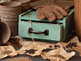 Audit Your Seed Inventory
Garden Design
Calimesa, CA