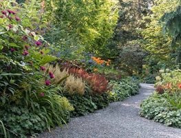 Bellevue Botanical Garden
Garden Design
Calimesa, CA
