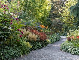 Bellevue Botanical Garden Walk
Garden Design
Calimesa, CA