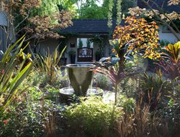 Botanic Garden
Garden Design
Calimesa, CA