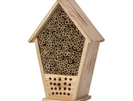 Bring In The Bees
Garden Design
Calimesa, CA