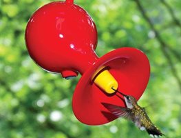 Bring In The Hummingbirds
Garden Design
Calimesa, CA