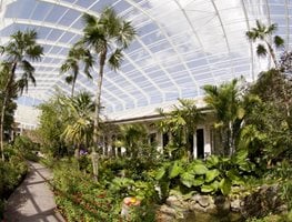 Butterfly Conservatory
Garden Design
Calimesa, CA