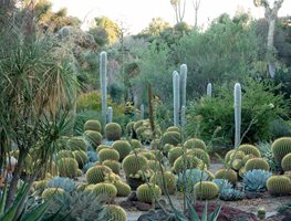 Cactus Garden At The Huntington
Garden Design
Calimesa, CA