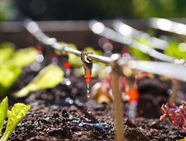 Check Irrigation Systems
Garden Design
Calimesa, CA