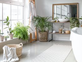 Check Up On Houseplants
Garden Design
Calimesa, CA