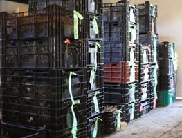 Check Up On Stored Plants
Garden Design
Calimesa, CA