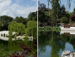 A Classical Chinese Landscape
