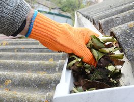 Clean Out Gutters, Bird Baths & Other Places Where Leaves Accumulate
Garden Design
Calimesa, CA