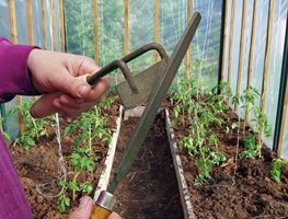 Clean, Refurbish & Store Garden Tools
Garden Design
Calimesa, CA