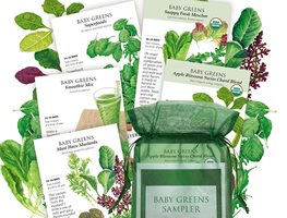 Continue Planting Cool-Season Crops
Garden Design
Calimesa, CA