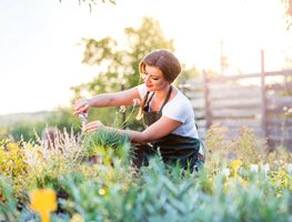 Cut Back Perennials
Garden Design
Calimesa, CA