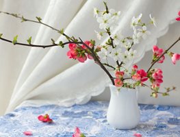 Cut Branches To Force Blooms Indoors
Garden Design
Calimesa, CA