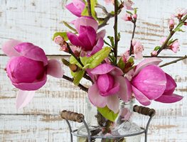 Cut Flowering Branches
Garden Design
Calimesa, CA