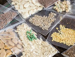 Do A Seed Inventory
Garden Design
Calimesa, CA