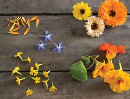 Edible Flowers
Garden Design
Calimesa, CA
