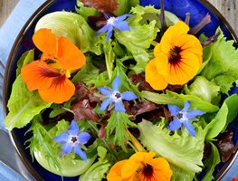 Edible Flowers
Garden Design
Calimesa, CA