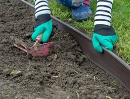 Expand Garden Beds
Garden Design
Calimesa, CA