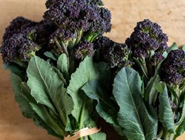 Fall Crops
Garden Design
Calimesa, CA