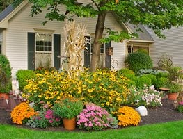 Fall Gardening Ideas, Fall Gardening Tips
Garden Design
Calimesa, CA