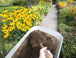 Fertilize Containers
Garden Design
Calimesa, CA