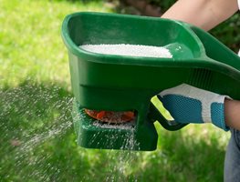 Fertilize Your Lawn
Garden Design
Calimesa, CA