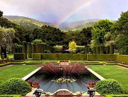 Filoli
Garden Design
Calimesa, CA