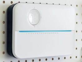 Garden Design
Calimesa, CA