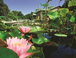 Garden Design
Calimesa, CA