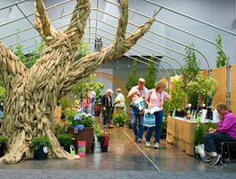 Winter Gardening: Tips for Creating a Gorgeous Winter Garden | Garden Design Winter Gardening: Tips for Creating a Gorgeous Winter Garden | Garden Design on Winter Garden Design
id=21016