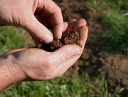 Garden Soil, Soil Preparation
Shutterstock.com
New York, NY