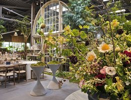 Garden Store
Garden Design
Calimesa, CA