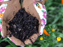 Garden Therapy Course
Garden Design
Calimesa, CA