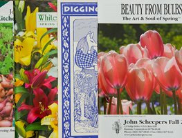 Gardening Catalogs, Winter Planning
Garden Design
Calimesa, CA