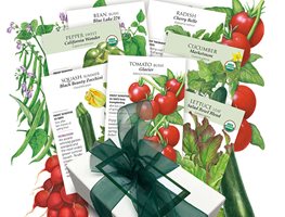 Get Out Your Seeds & Seed-Starting Equipment
Garden Design
Calimesa, CA