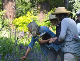 Give Back
Garden Design
Calimesa, CA