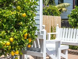 Give Your Citrus A Little Attention
Garden Design
Calimesa, CA