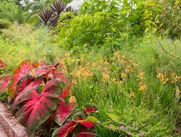 Harry P Leu Botanical Garden
Garden Design
Calimesa, CA